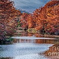 Fall on the Guadalupe